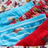1,5-7 yaş | 6’lı paket Paw Patrol külot 1,5-7 yaş | 6’lı paket Paw Patrol külot