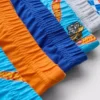1,5-8 yaş | 6’lı paket Hot Wheels külot 1,5-8 yaş | 6’lı paket Hot Wheels külot