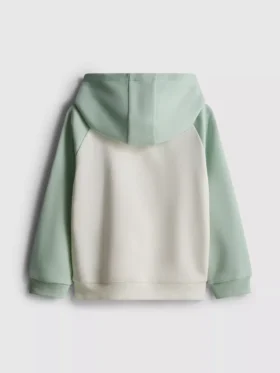 1,5-8 yaş | renk bloklu kapüşonlu sweatshirt