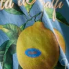 Amalfi limon desenli gömlek Amalfi limon desenli gömlek