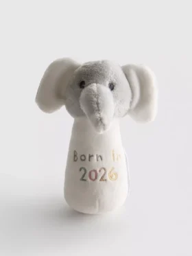 Born in 2026 çıngıraklı oyuncak