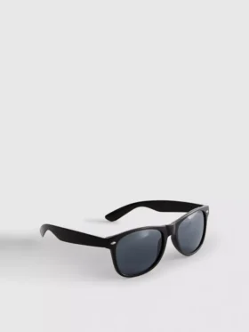 Klasik Wayfarer Güneş Gözlüğü