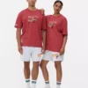 NBA Miami Heat tişörtü NBA Miami Heat tişörtü