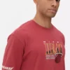 NBA Miami Heat tişörtü NBA Miami Heat tişörtü