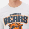 NFL Chicago Bears logolu tişört