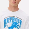 NFL Detroit Lions baskılı tişört NFL Detroit Lions baskılı tişört