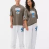 NFL Detroit Lions logolu tişört NFL Detroit Lions logolu tişört