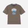 NFL Detroit Lions logolu tişört NFL Detroit Lions logolu tişört