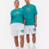 NFL Miami Dolphins logolu tişört NFL Miami Dolphins logolu tişört