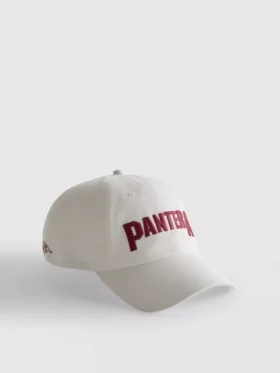 Pantera beyzbol şapkası