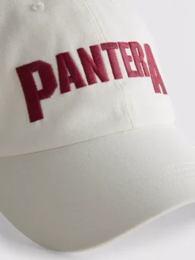 Pantera beyzbol şapkası