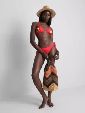 Tukan üçgen bikini üstü